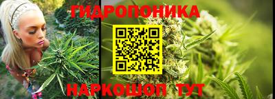 мдма Гусев