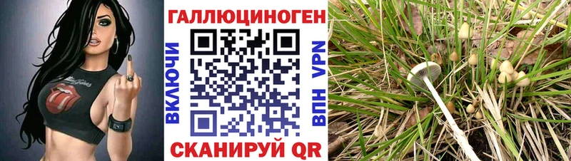 Псилоцибиновые грибы ЛСД  ОМГ ОМГ ссылки  Кыштым 
