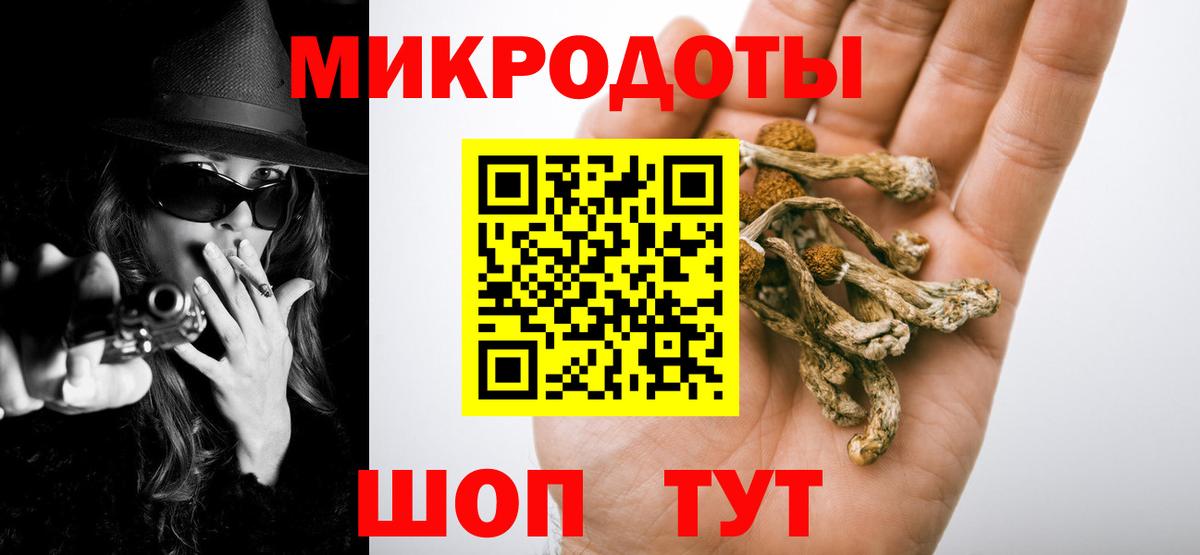 Псилоцибиновые грибы прущие грибы Кыштым
